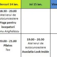 Atelier de Infrumusetare Interioara