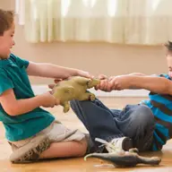 Conflicte, rivalitate si autoritate in familie