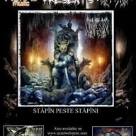 Syn Ze Sase Tri anunta numele si data lansarii celui de-al treilea album