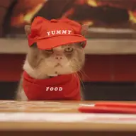 Yummy Pizza