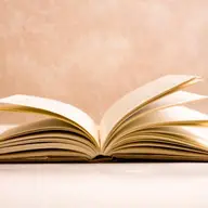 Spuneti NU timbrului literar!