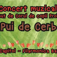 Concert muzical - Pui de cerb