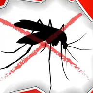 Plase insecte / tantari