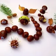 Animalutele toamnei