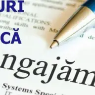 Colaborare cu contact de comision