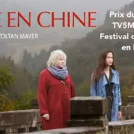 Premiile Festivalului Filmului Francez 2015