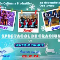 Spectacol de Craciun cu Matrix Dance