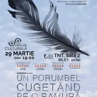 Un porumbel cugetand pe o ramura
