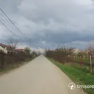 Bulevardul Petre Tutea