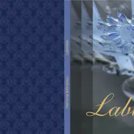 Lansare de carte – ”Labilitate”, de Ramona Balutescu