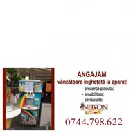 Angajam vanzatoare inghetata