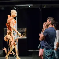 Expozitia „OUR BODY: Universul Interior”: ultima luna la Timisoara