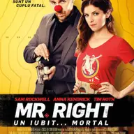 Mr. Right. Un iubit...mortal
