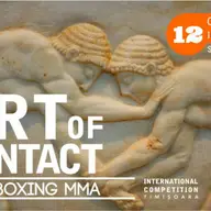 Competitia Internationala ''Art of contact''