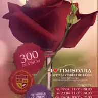 Bilantul Vinvest 2016