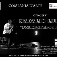 Concert Madalin Luca