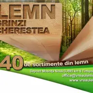 Forest One
