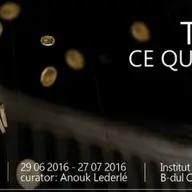 Expozitie Tot ce straluceste (Tout ce qui brille) - Pusha Petrov