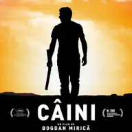 Caini