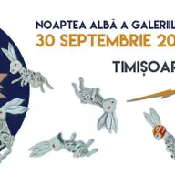 Noaptea Alba a Galeriilor