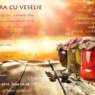Camara cu veselie - 2016