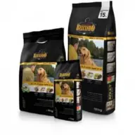 Petshopexpres.ro: Creste-ti cainele sanatos oferindu-i cea mai buna mancare pentru caini