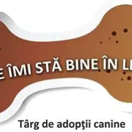 Ziua Internationala a Animalelor
