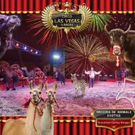 Circul Las Vegas Vargas la Timisoara