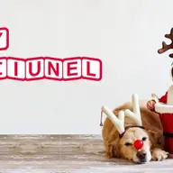 Baby Craciunel - Targ cu produse SH pentru copii