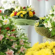 Inaugurarea proiectului ,,Depozit de Flori,, al florariei Casa Florilor din Timisoara