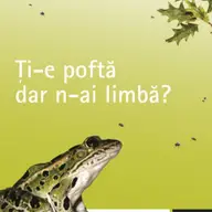 Curs de limba engleza incepatori - ExamPlus