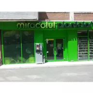 Miracolul Plantelor - Bulevardul Dambovita