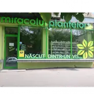 Miracolul Plantelor - Strada Gheorghe Lazar