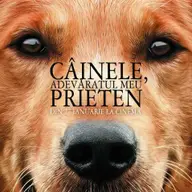 Cainele, adevaratul meu prieten