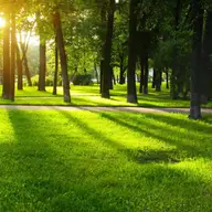 Parcul Cornet