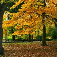 Parcul George Enescu