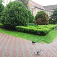 Parcul Postei
