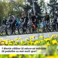 Proiecte 2017 Verde pentru Biciclete