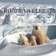 Ziua ursilor polari la biblioteca