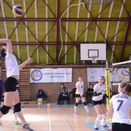 CSU Politehnica Timisoara - CSM Satu Mare