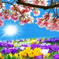 Spring Detox - Workshop: "Curatenia de Primavara"