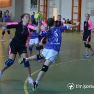 Turneu de minihandbal