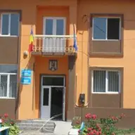Primaria Topolovatu Mare
