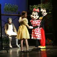Aventurile lui Mickey Mouse