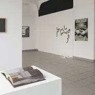 Lavinia German - Curatoriatul ca practica artistica