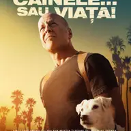 Cainele...sau viata!