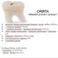 Medic Dentist din Timisoara