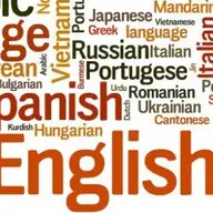 Job-uri de viitor cu limbile straine la baza