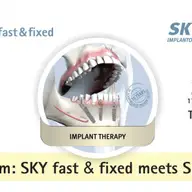 4th Forum: SKY fast & fixed meets SKYonics