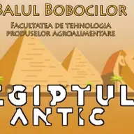 Balul Bobocilor TPA Timisoara